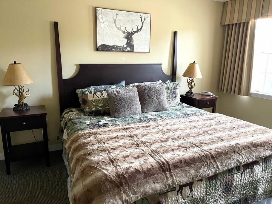 Ski On Off 1Br Suite 1St Flr Sleeps 4 Jiminy Peak 汉考克 外观 照片